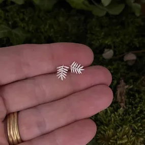 Sterling Silver Fern Stud Earrings